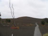 Devastation Trail behind Kilauea Iki creater