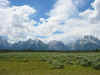 Grand Teton panorama