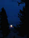 Moonrise over the trees