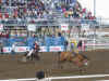 full saddle bronc riding